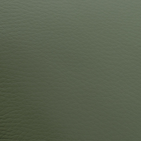 Green Leather