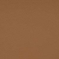 Tan Leather