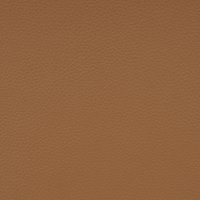 Tan Leather