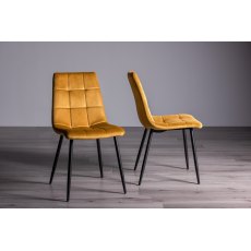 Mondrian Mustard Velvet Fabric Chairs with Black Legs