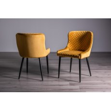 Cezanne Mustard Velvet Fabric Chairs with Black Legs