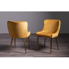 Cezanne Mustard Velvet Fabric Chairs with Gold Legs