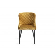 Home Origins Cezanne upholstered dining chair with sand black powder coated legs- mustard velvet fabric- front on