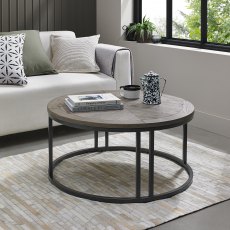 Home Origins Monet Silver Grey Coffee Table- feature