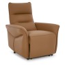 Tan Leather