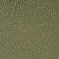 Green Leather